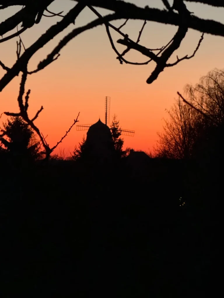 Windmühle im Abendrot, im Vordergrund Baumzweige